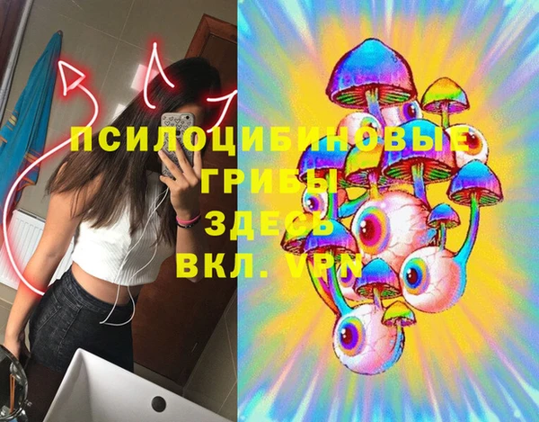 хмурый Богородицк